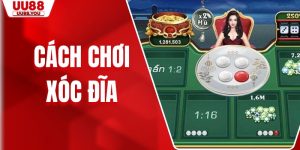 Cách Chơi Xóc Đĩa Đơn Giản Mà Người Chơi Mới Nên Thử Ngay