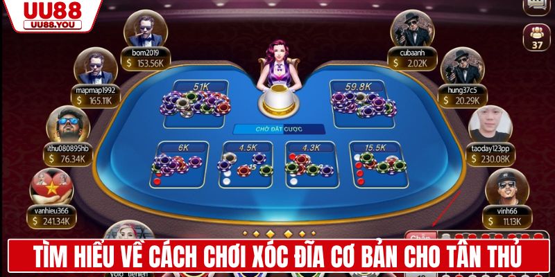 Tìm hiểu về cách chơi xóc đĩa cơ bản cho tân thủ